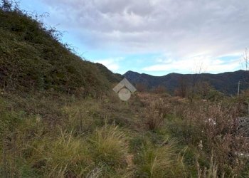 Terreno agricolo Via della Stazione, Ventimiglia - foto 6