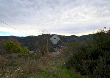 Terreno agricolo Via della Stazione, Ventimiglia - foto 7