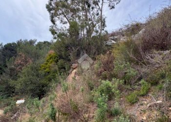 Terreno agricolo Via della Stazione, Ventimiglia - foto 8