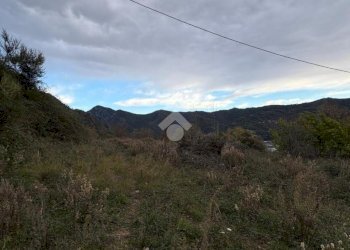 Terreno agricolo Via della Stazione, Ventimiglia - foto 10