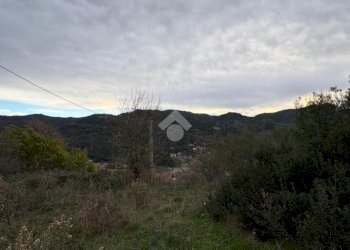 Terreno agricolo Via della Stazione, Ventimiglia - foto 11
