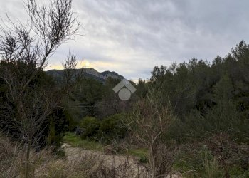 Terreno agricolo Via della Stazione, Ventimiglia - foto 13