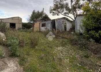 Terreno agricolo Via della Stazione, Ventimiglia - foto 14