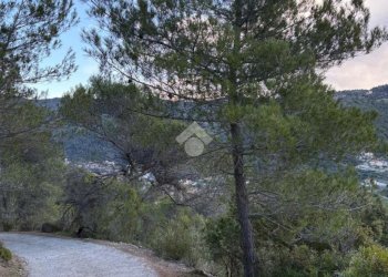 Terreno agricolo Via della Stazione, Ventimiglia - foto 15