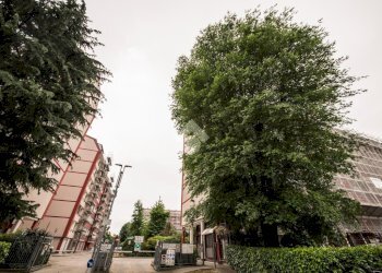 Four-room apartment Via Rimini, Milano (neighborhood Moncucco) - photo 43