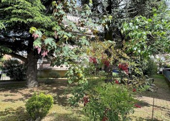 One-room apartment Via Doberdo', Parma - photo 15