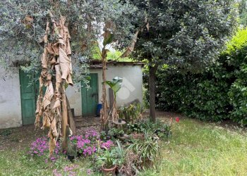 Independent house Via B. Croce, Corbetta - photo 41