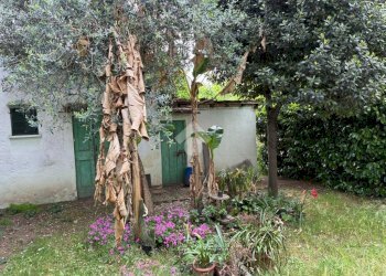Independent house Via B. Croce, Corbetta - photo 42