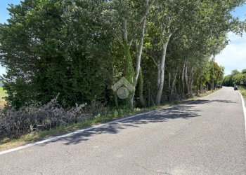 Villa Via Vallelunga, Ferrara (neighborhood Pontelagoscuro) - photo 12