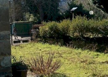 Casa indipendente Via Sabbioni, 33, Loiano - foto 5