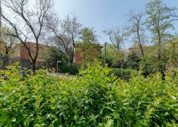 Trilocale Via del Porto, 48, Bologna (zona Centro Storico) - foto 21