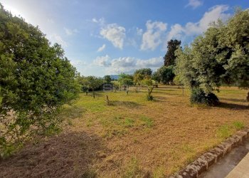 Foto 32 - Villa CARANCINO, Siracusa - foto 32