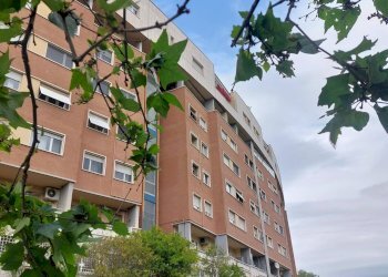 Foto 18 - Villa Bifamiliare Viale Aldo Ballarin, Roma - foto 18