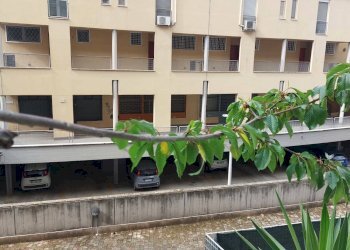 Foto 21 - Villa Bifamiliare Viale Aldo Ballarin, Roma - foto 21