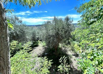 Foto 10 - Terreno edificabile Viale della Repubblica
 
85, Civitanova Marche - foto 10