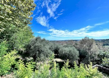 Foto 9 - Terreno edificabile Viale della Repubblica
 
57, Civitanova Marche - foto 9