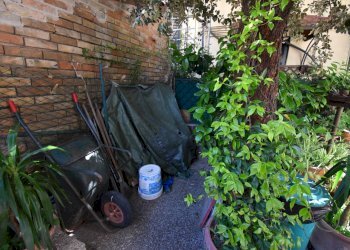 Foto 28 - Appartamento Via Gorizia, San Benedetto del Tronto - foto 28