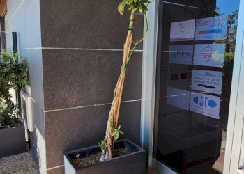 Terrazza - Magazzino Bari - foto 9