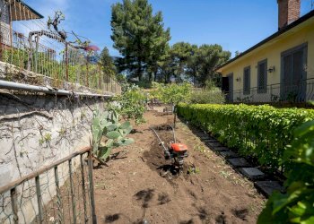 Giardino - Villa Via Concetto Marchesi
 
12, Pedara - photo 51