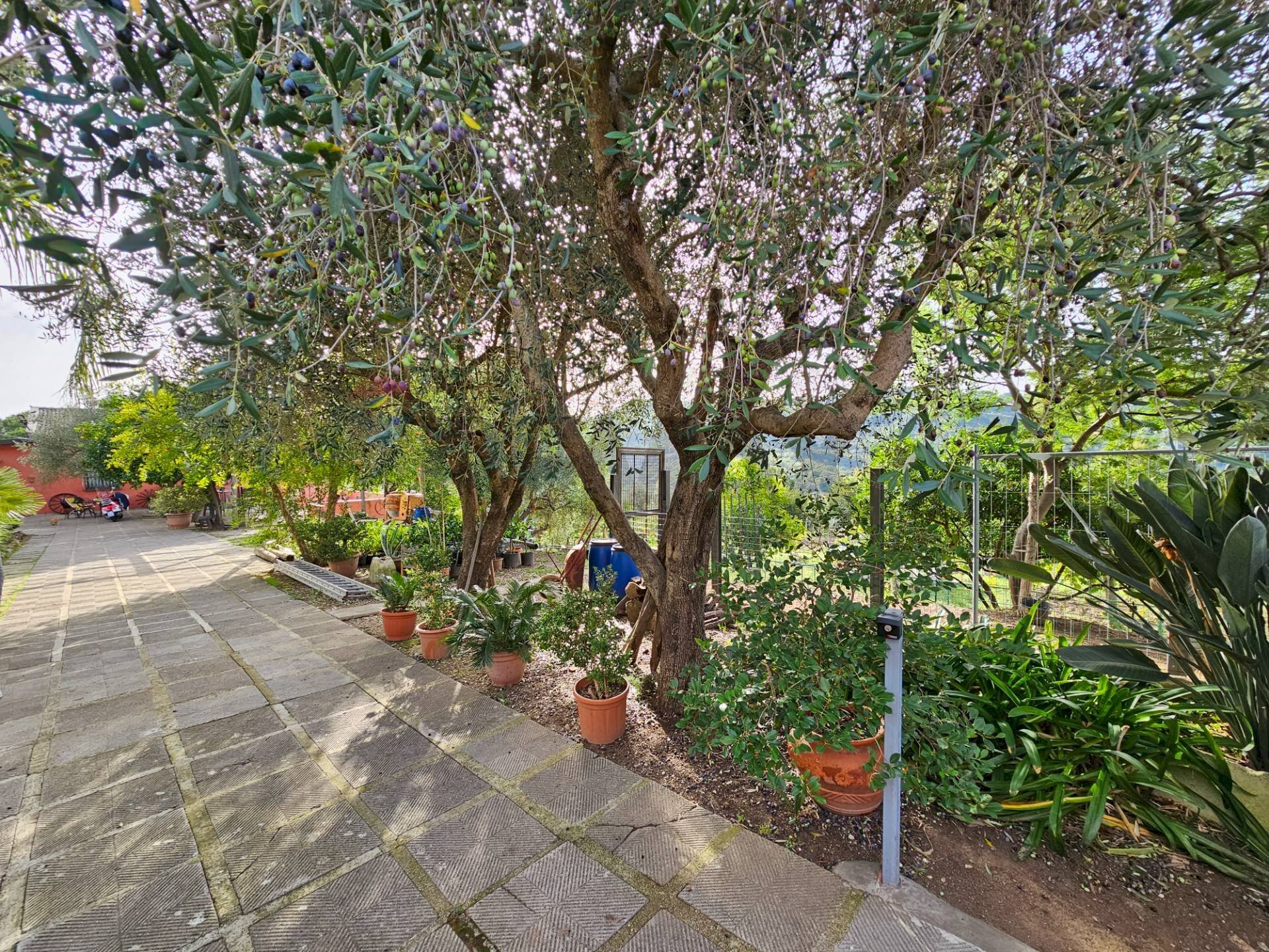 Giardino - Casa indipendente Salerno - foto 2