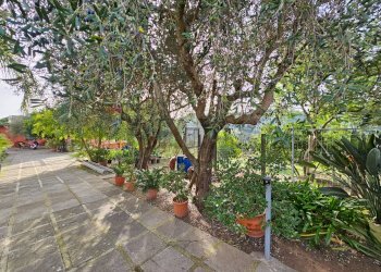 Giardino - Casa indipendente Salerno - foto 5