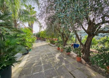 Giardino - Casa indipendente Salerno - foto 7
