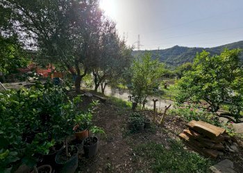 Giardino - Casa indipendente Salerno - foto 9