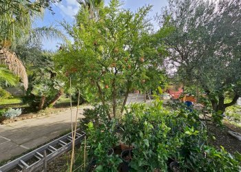 Giardino - Casa indipendente Salerno - foto 11