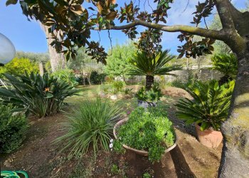 Giardino - Casa indipendente Salerno - foto 18