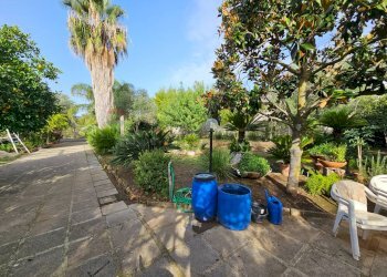 Giardino - Casa indipendente Salerno - foto 19