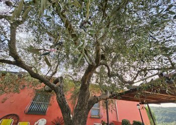 Edificio all\'aperto - Casa indipendente Salerno - foto 20