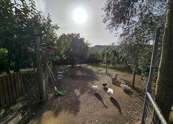 Giardino - Casa indipendente Salerno - foto 35