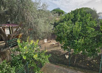 Giardino - Casa indipendente Salerno - foto 38