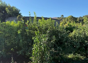 Edificio all\'aperto - Terreno agricolo via bufardo, Fiumefreddo di Sicilia - foto 10