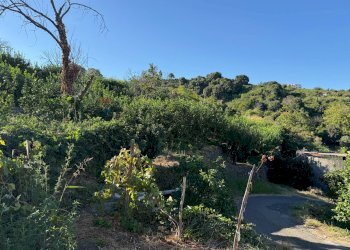Giardino - Terreno agricolo via bufardo, Fiumefreddo di Sicilia - foto 25