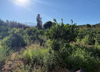 Vista delle montagne - Terreno agricolo via bufardo, Fiumefreddo di Sicilia - foto 27