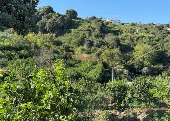 Vista delle montagne - Terreno agricolo via bufardo, Fiumefreddo di Sicilia - foto 30