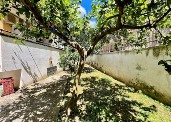Giardino - Four-room apartment Via Campo Sportivo
 
10, San Felice a Cancello - photo 36