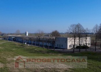 Foto 1 - Capannone Via Cadimarco
 
16, Fiesse - foto 1