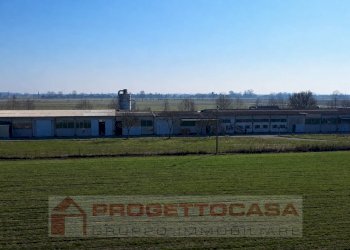 Foto 5 - Capannone Via Cadimarco
 
16, Fiesse - foto 5