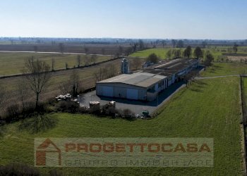 Foto 8 - Capannone Via Cadimarco
 
16, Fiesse - foto 8