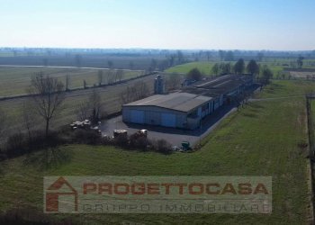 Foto 9 - Capannone Via Cadimarco
 
16, Fiesse - foto 9