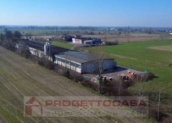 Foto 11 - Capannone Via Cadimarco
 
16, Fiesse - foto 11