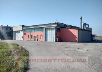 Foto 15 - Capannone Via Cadimarco
 
16, Fiesse - foto 15