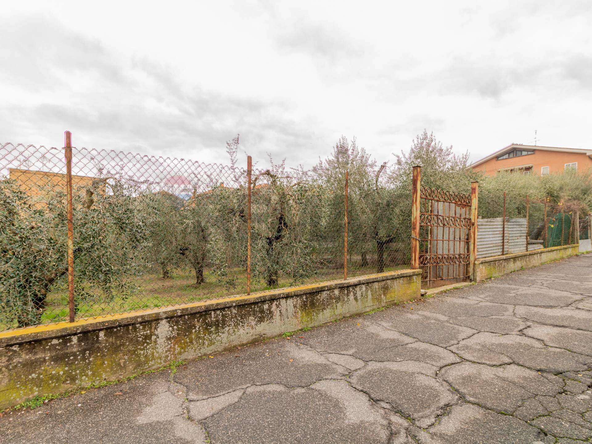 Giardino - Terreno edificabile Roma - foto 1