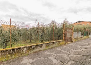 Giardino - Terreno edificabile Roma - foto 1