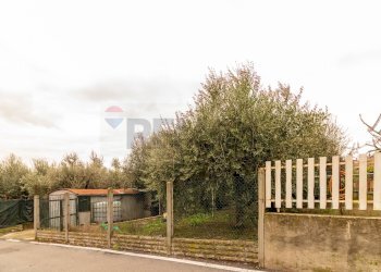 Giardino - Terreno edificabile Roma - foto 5