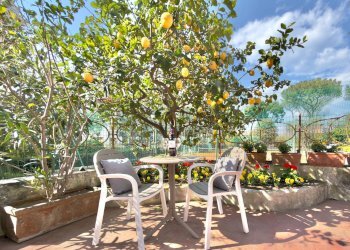Terrazza - Two-room apartment Via degli Aranci
 
52, Sorrento - photo 13