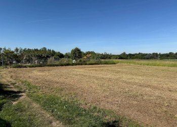 Foto 3 - Terreno agricolo Strada Comunale dei Tresoldi.
snc, Vimercate - foto 3