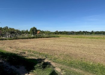 Foto 5 - Terreno agricolo Strada Comunale dei Tresoldi.
snc, Vimercate - foto 5